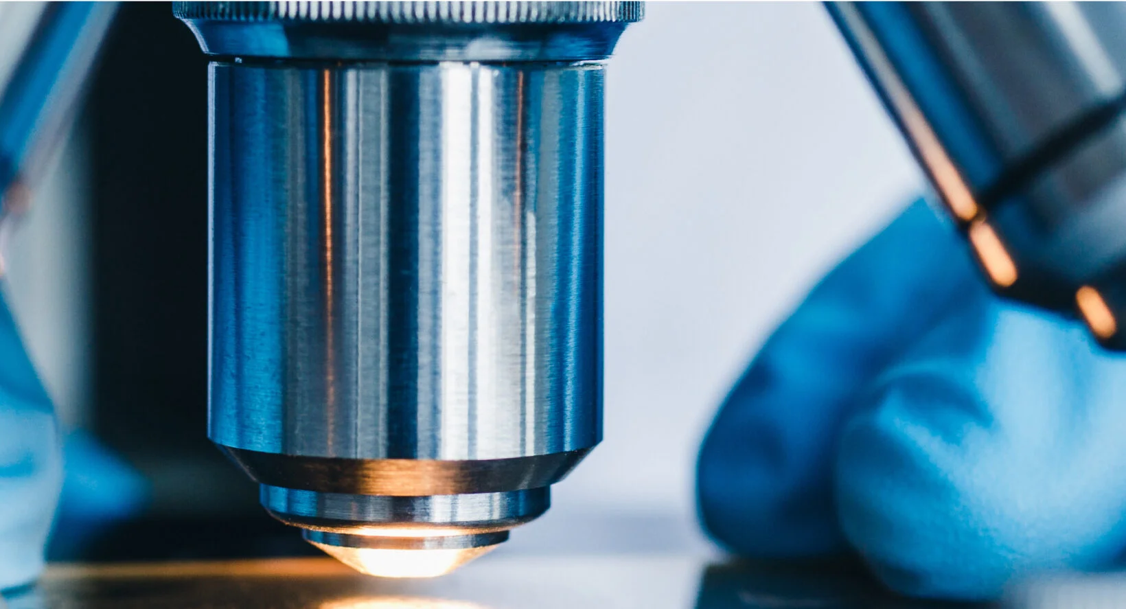 Sample Featured Image Alt